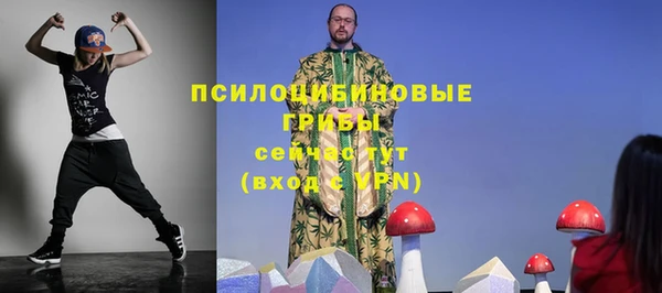 молекула духа Нефтегорск
