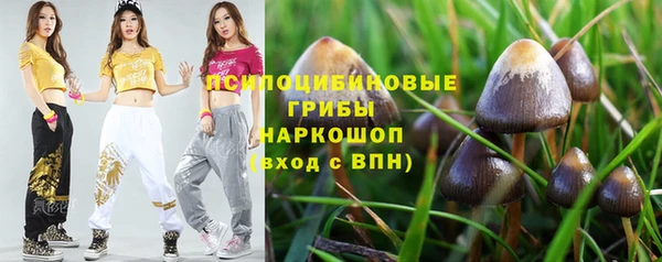молекула духа Нефтегорск