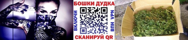 Конопля сатива  хочу   Инта 